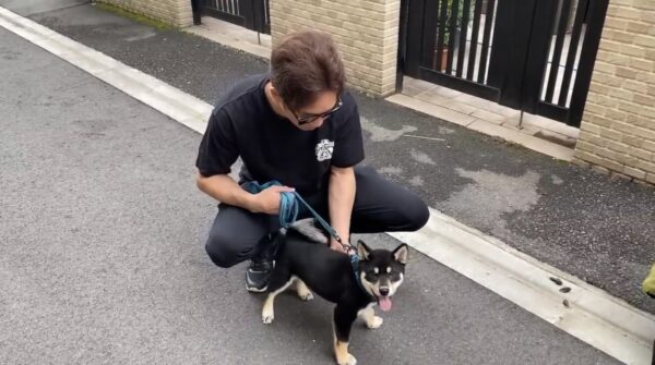 朝倉未来チャンネルのあんこ・きなこが可愛すぎる！！