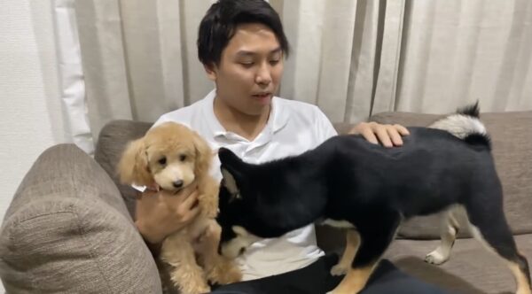 朝倉未来チャンネルのあんこ・きなこが可愛すぎる！！