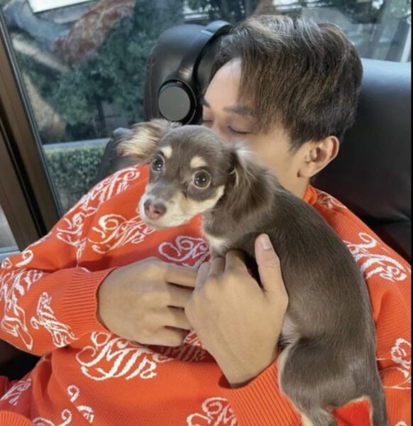 朝倉未来チャンネルのあんこ・きなこが可愛すぎる！！