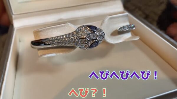 youtuberヒカルのアクセサリーや指輪・ネックレスからiPhoneスマホケースまで!持ち物まとめ!