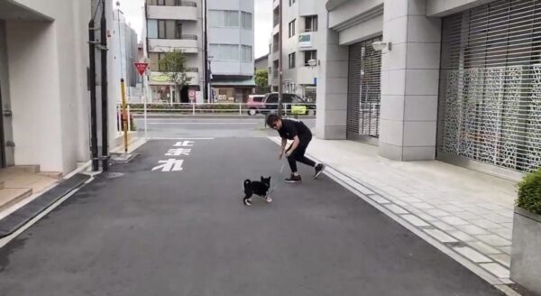 朝倉未来チャンネルのあんこ・きなこが可愛すぎる！！
