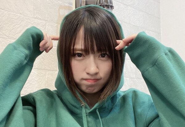 平成フラミンゴ