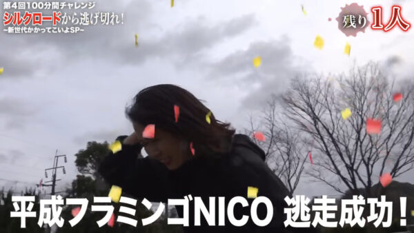 平成フラミンゴ