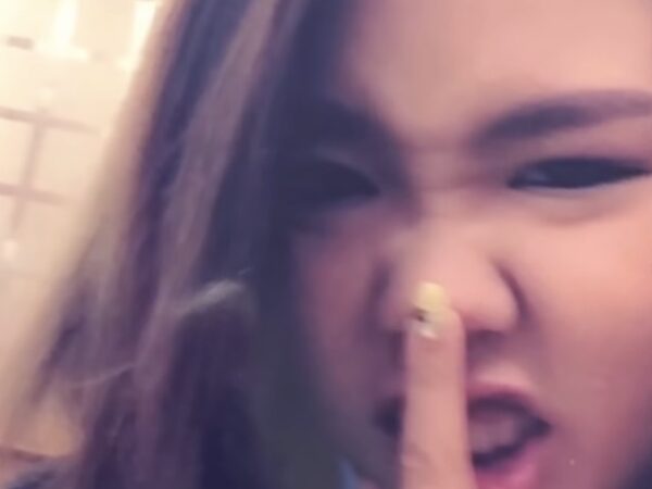 平成フラミンゴ