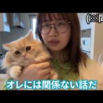エミリン(大松絵美)はいつから猫飼い始めた・名前は?インスタにもよく登場?