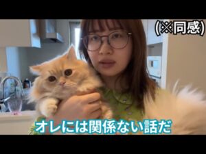 エミリン(大松絵美)はいつから猫飼い始めた・名前は?インスタにもよく登場?