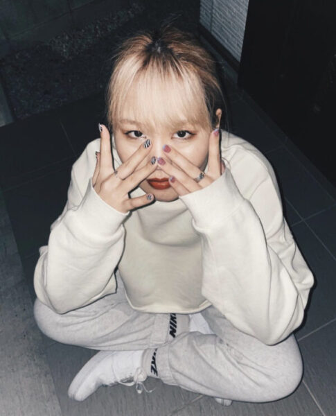 平成フラミンゴのプロフィール紹介！本名や年齢、血液型まで調査！