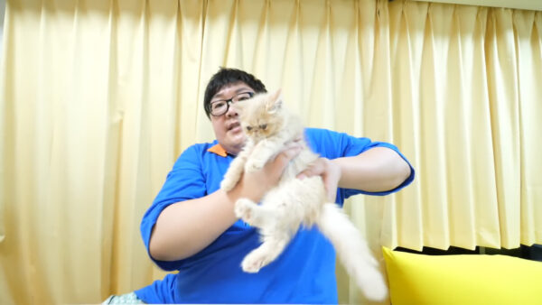 デカキンの飼っている猫が知りたい!名前や種類は?