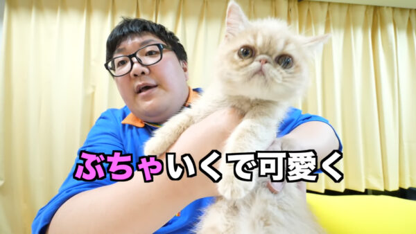 デカキンの飼っている猫が知りたい!名前や種類は?
