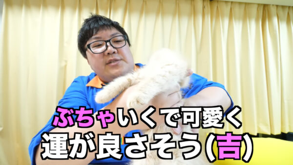 デカキンの飼っている猫が知りたい!名前や種類は?