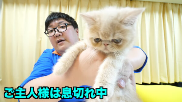 デカキンの飼っている猫が知りたい!名前や種類は?