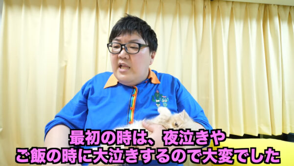 デカキンの飼っている猫が知りたい!名前や種類は?