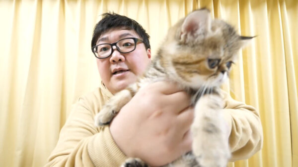 デカキンの飼っている猫が知りたい!名前や種類は?