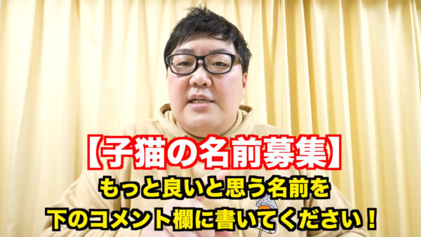 デカキンの飼っている猫が知りたい!名前や種類は?