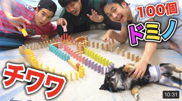 フィッシャーズペット紹介！犬のチクワがかわいい！