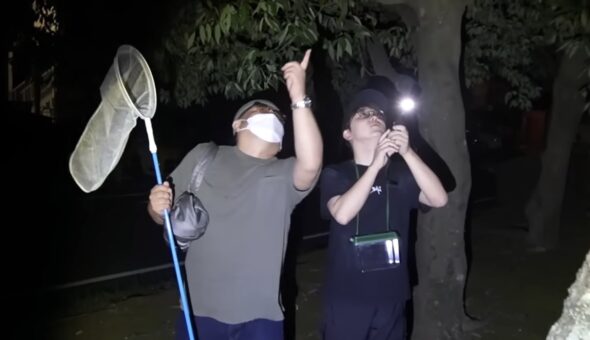 東海オンエア個人チャンネルはあまり更新されない?動画本数ランキングにしてみた!