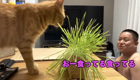 東海オンエア個人チャンネルはあまり更新されない?動画本数ランキングにしてみた!