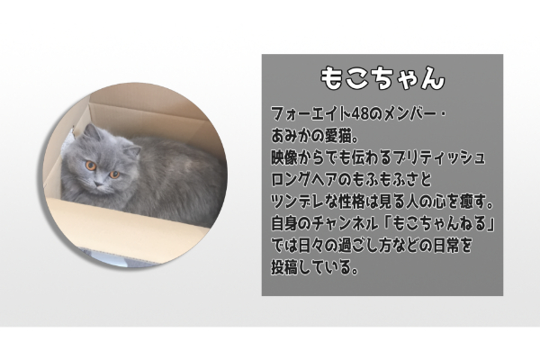 48(フォーエイト)事務所48スタジオってどこにある?どんな会社なの?