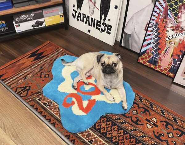 カジサックのりおちゃんって?年齢や本名まで徹底調査!