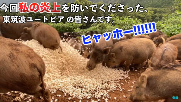 すしらーめんりくスカイピースコラボで巨大ポップコーン！？東筑波ユートピアとの意外な関係とは？