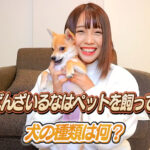 ばんばんざいるなはペットを飼っている!犬の種類は何?