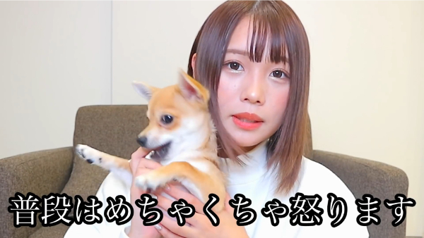 ばんばんざいるなはペットを飼っている！犬の種類は何？