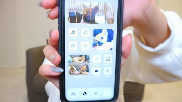 ばんばんざいるなはペットを飼っている！犬の種類は何？