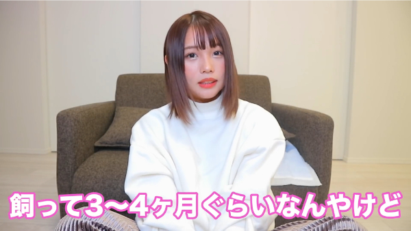 ばんばんざいるなはペットを飼っている！犬の種類は何？