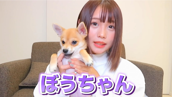 ばんばんざいるなはペットを飼っている！犬の種類は何？