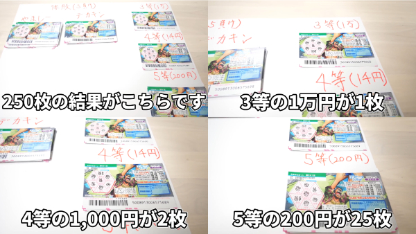 デカキンギャンブル企画！競馬競輪宝くじのトータル結果はいかに？