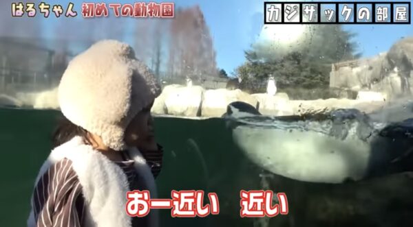 カジサック娘はるちゃんについて!誕生日のお祝いやおもちゃなどはじめての体験に注目!