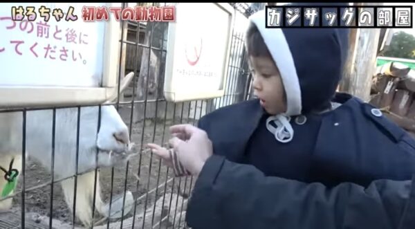 カジサック娘はるちゃんについて!誕生日のお祝いやおもちゃなどはじめての体験に注目!