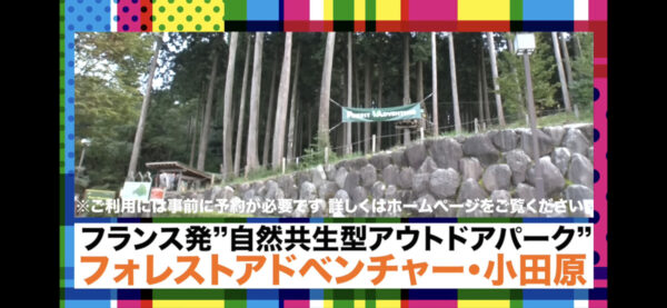 SixTONES YouTubeでメンバーが満喫していたアスレチックの場所は？料金やコースも紹介！