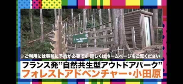 SixTONES YouTubeでメンバーが満喫していたアスレチックの場所は？料金やコースも紹介！