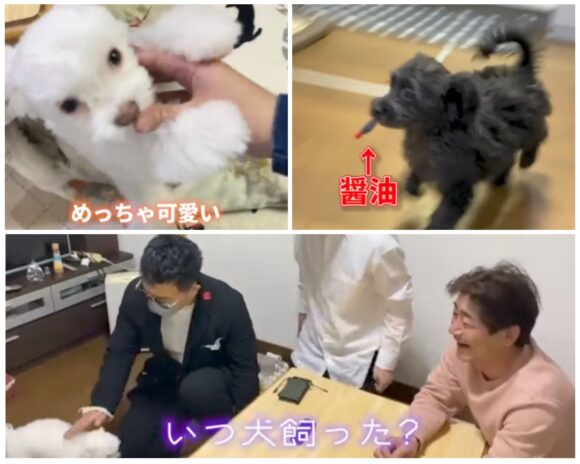 宮迫ですッ(宮迫博之)のニシキドアヤトはイケメン！錦戸亮との関係はいとこなの？