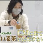エガちゃんねるへの案件依頼はおいくらかかる?サントリーなど大企業からも!