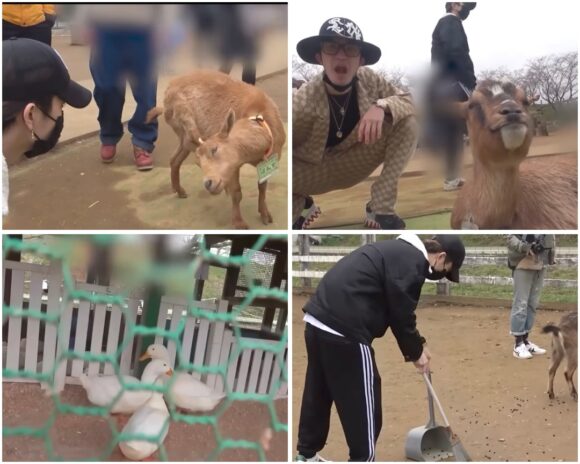 SixTONES YouTubeアポなし旅シリーズ!あの動物園やキャンプ場に行ってみたい!