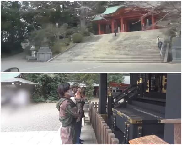 SixTONES YouTubeアポなし旅シリーズ!あの動物園やキャンプ場に行ってみたい!