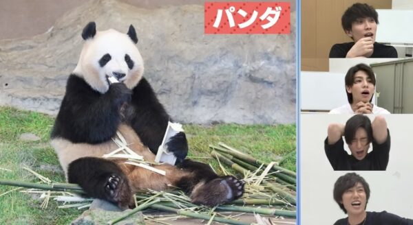 SnowMan(すのちゅーぶ)神回まとめ！面白いシーンや名言が見られるのはこれ！