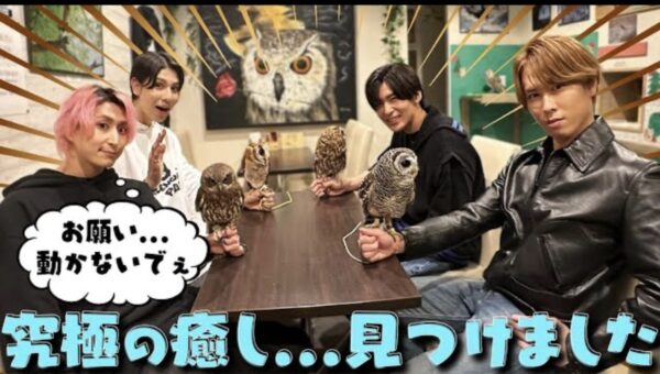 SnowMan(すのちゅーぶ)動物ふれあい企画!ミニブタやフクロウ・水族館まで!