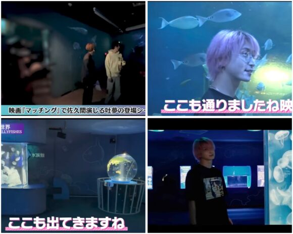 SnowMan(すのちゅーぶ)動物ふれあい企画!ミニブタやフクロウ・水族館まで!