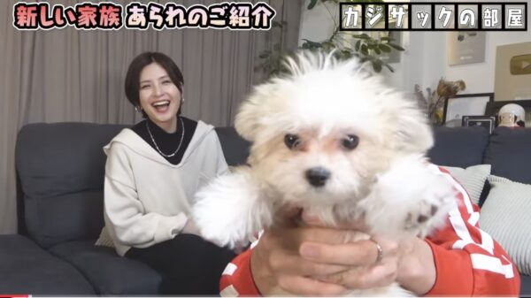 カジサック愛犬企画！かわいい愛犬にカジサックファミリーもメロメロ！