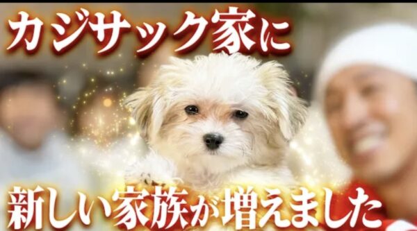 カジサック愛犬企画！かわいい愛犬にカジサックファミリーもメロメロ！