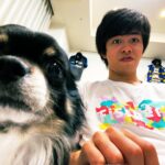 フィッシャーズペット紹介!犬のチクワがかわいい!