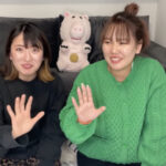 平成フラミンゴサブチャンネルの違いとは?内容が知りたい!
