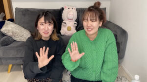 平成フラミンゴサブチャンネルの違いとは?内容が知りたい!