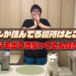 デカキンが住んでる場所はどこなの?動画にも出てる家ってどんな感じ?