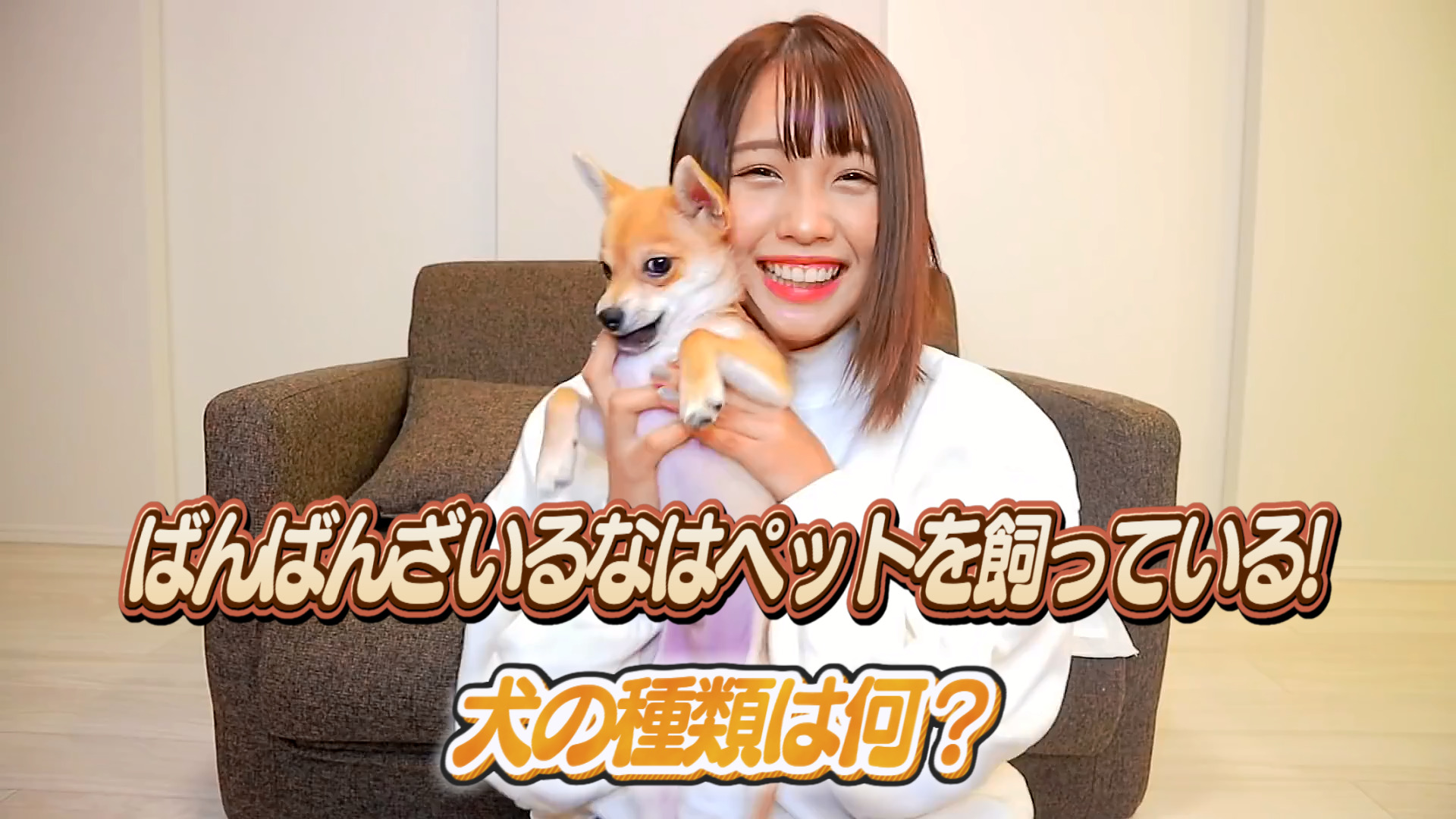 ばんばんざいるなはペットを飼っている！犬の種類は何？