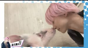 SnowMan(すのちゅーぶ)動物ふれあい企画！ミニブタやフクロウ・水族館まで！
